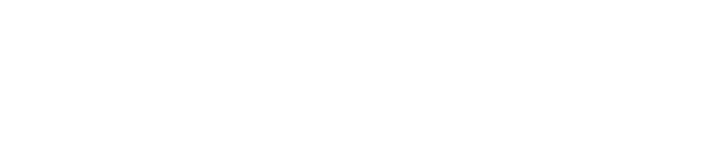Eli Mina Consulting